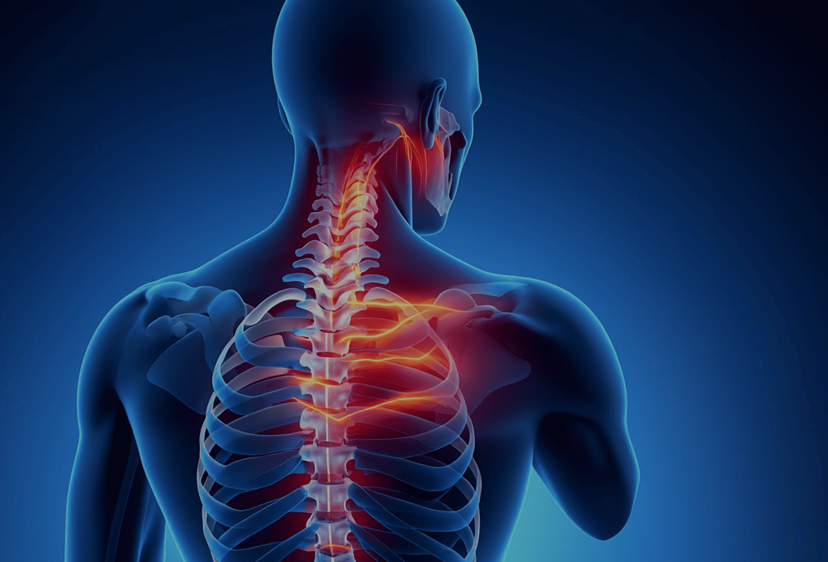 Organ damage or internal injuries