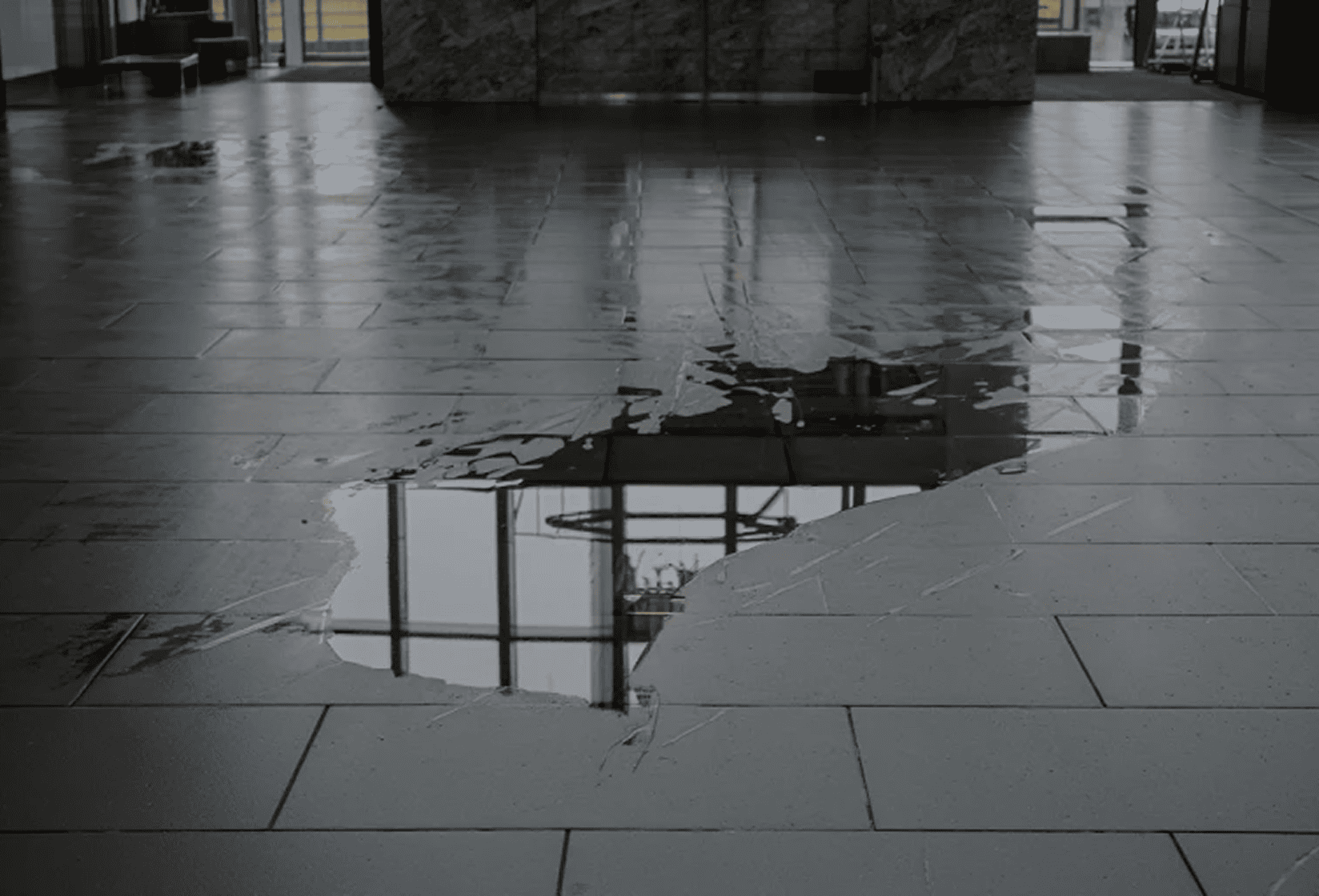 Wet floors with no warning signs