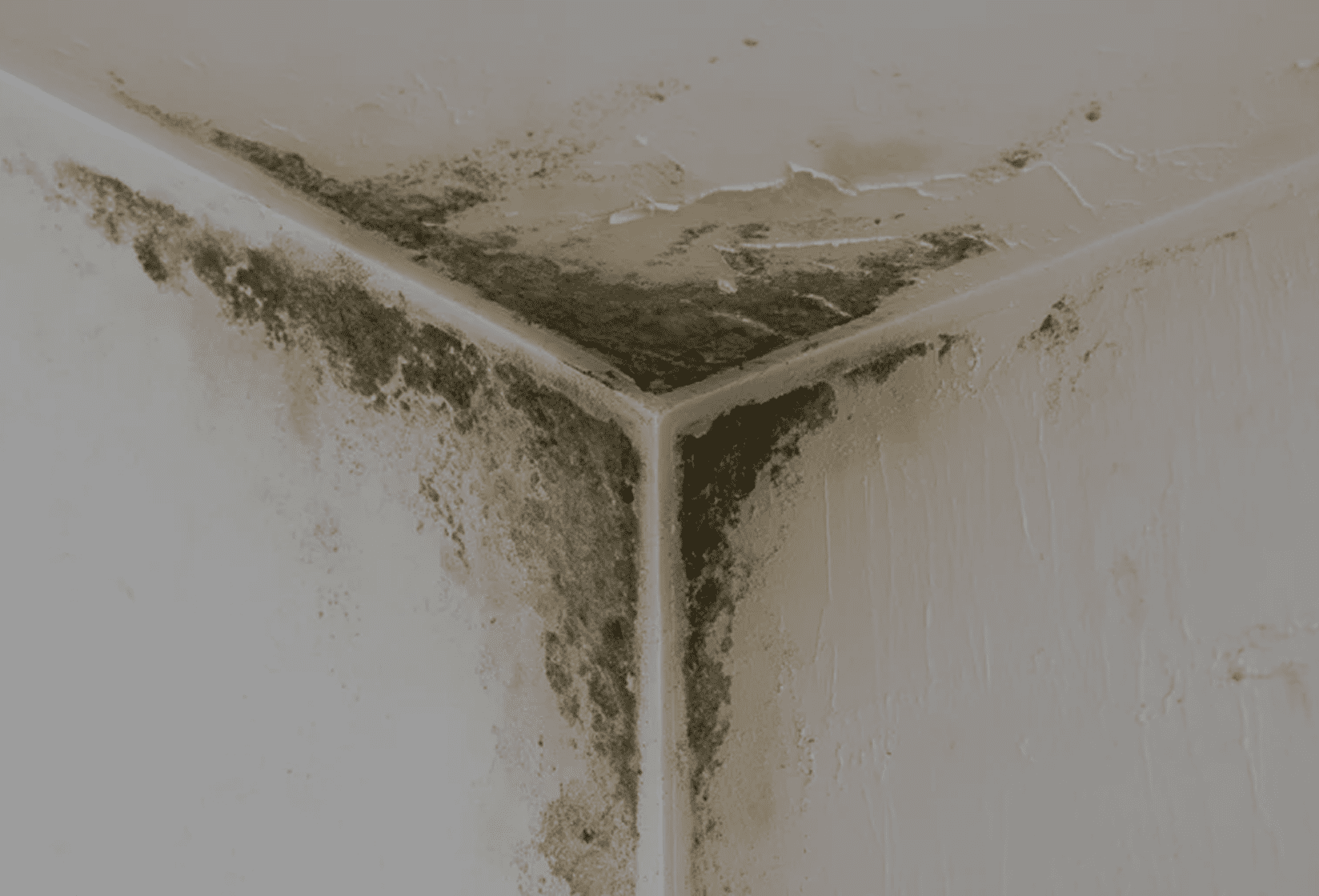 Toxic mold and unsafe living conditions