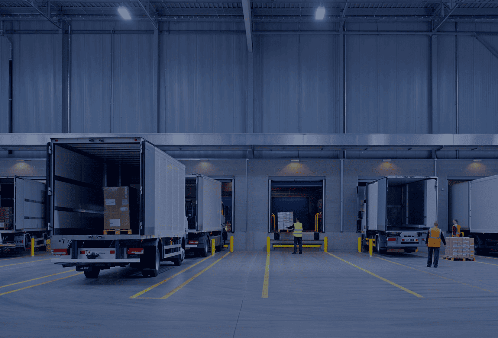 Distributors or wholesalers