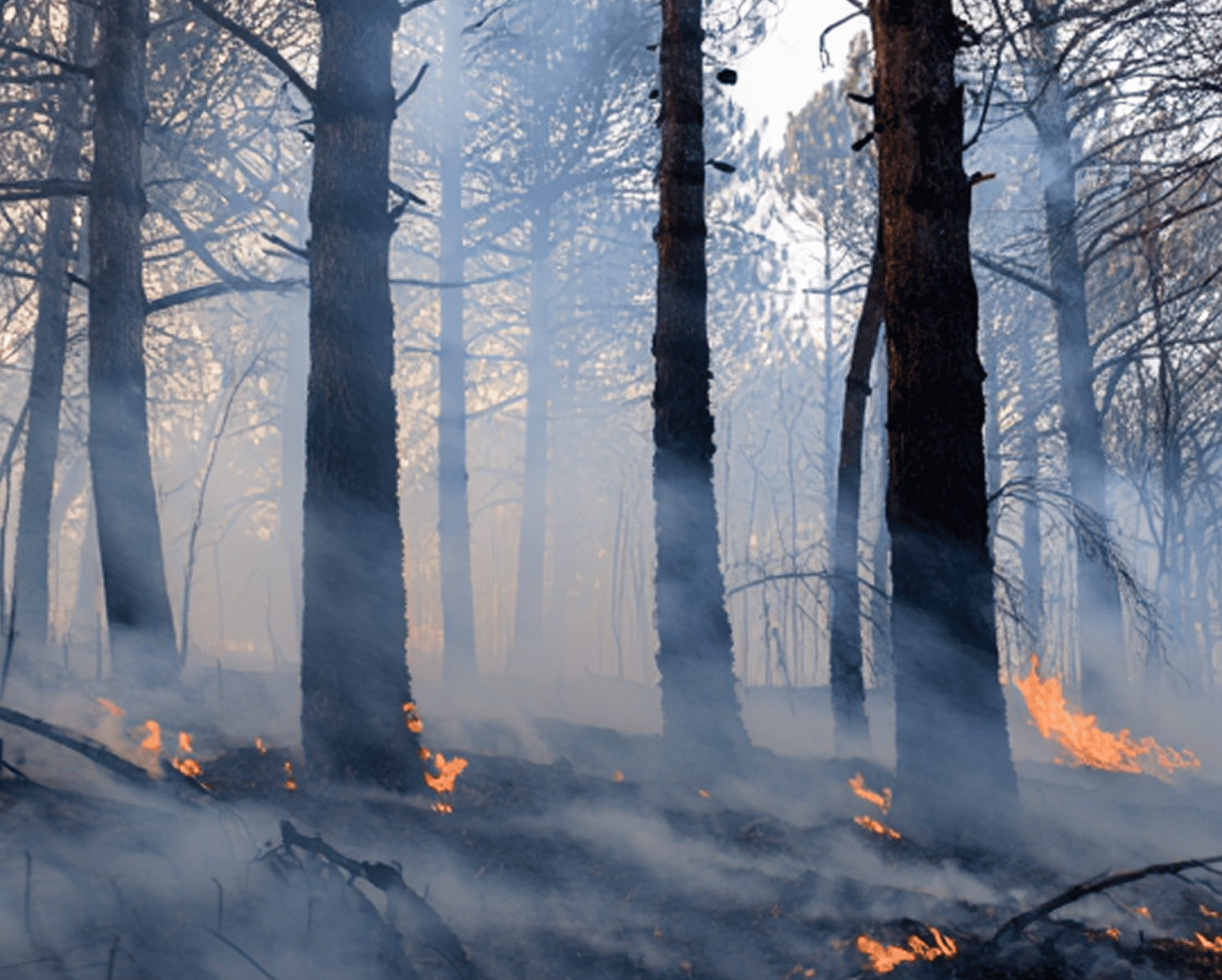 Fire damage scenario showing property affected by fire